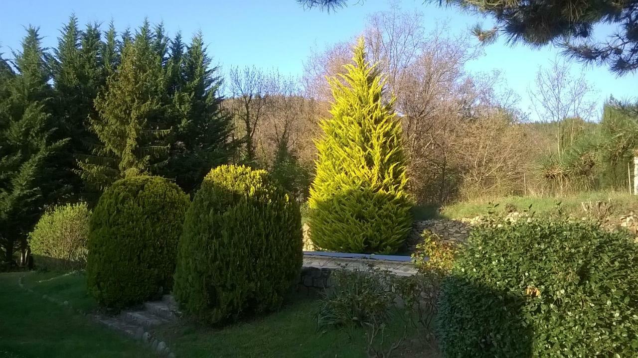 Canigou Lodge Vernet-les-Bains Buitenkant foto