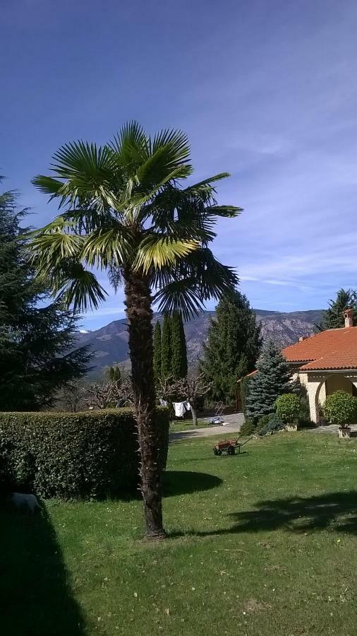 Canigou Lodge Vernet-les-Bains Buitenkant foto